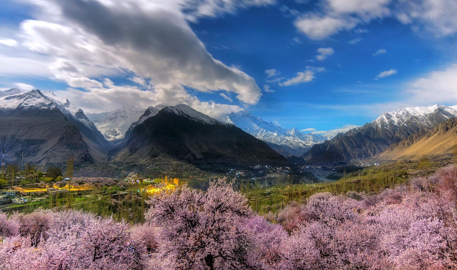 cherry blossom in hunza 1
