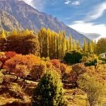 74604447_2533659323355299_515099477963440128_o-1-1-150×150