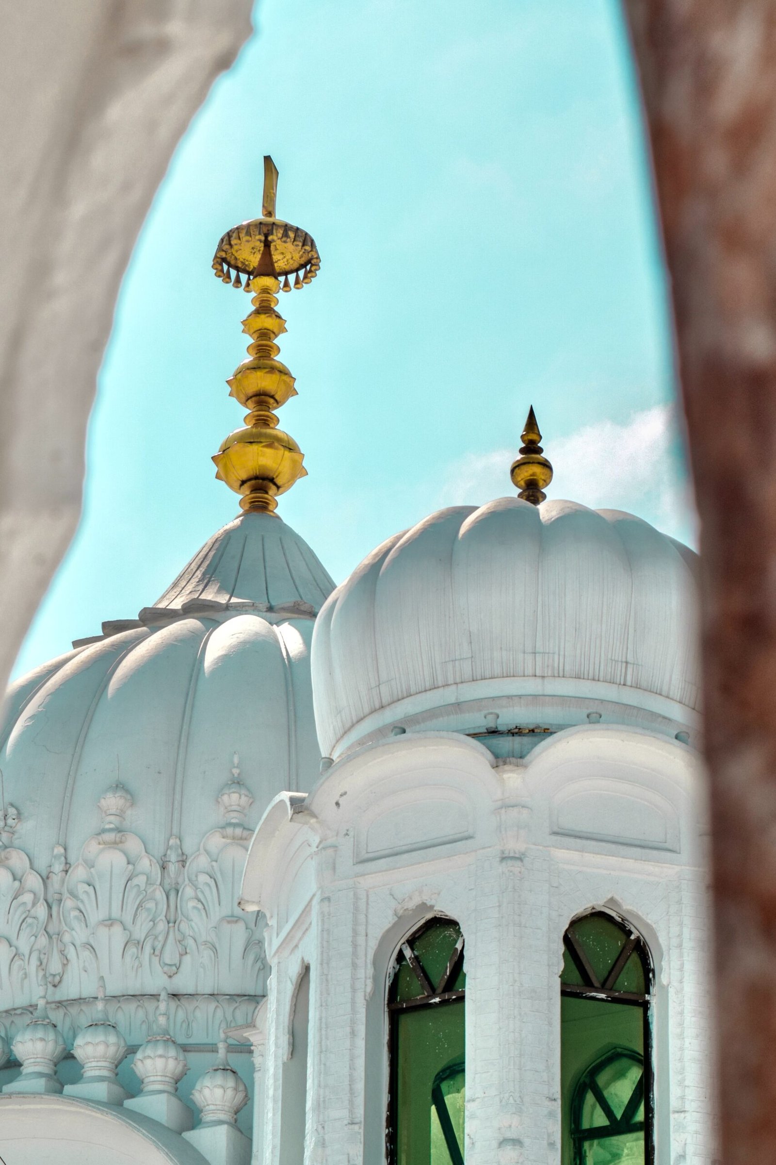 ali rizvi 8PBfWZEFc_I unsplash scaled